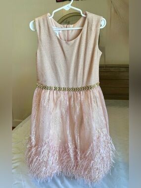 Bonnie Jean Blush Feathered Dress